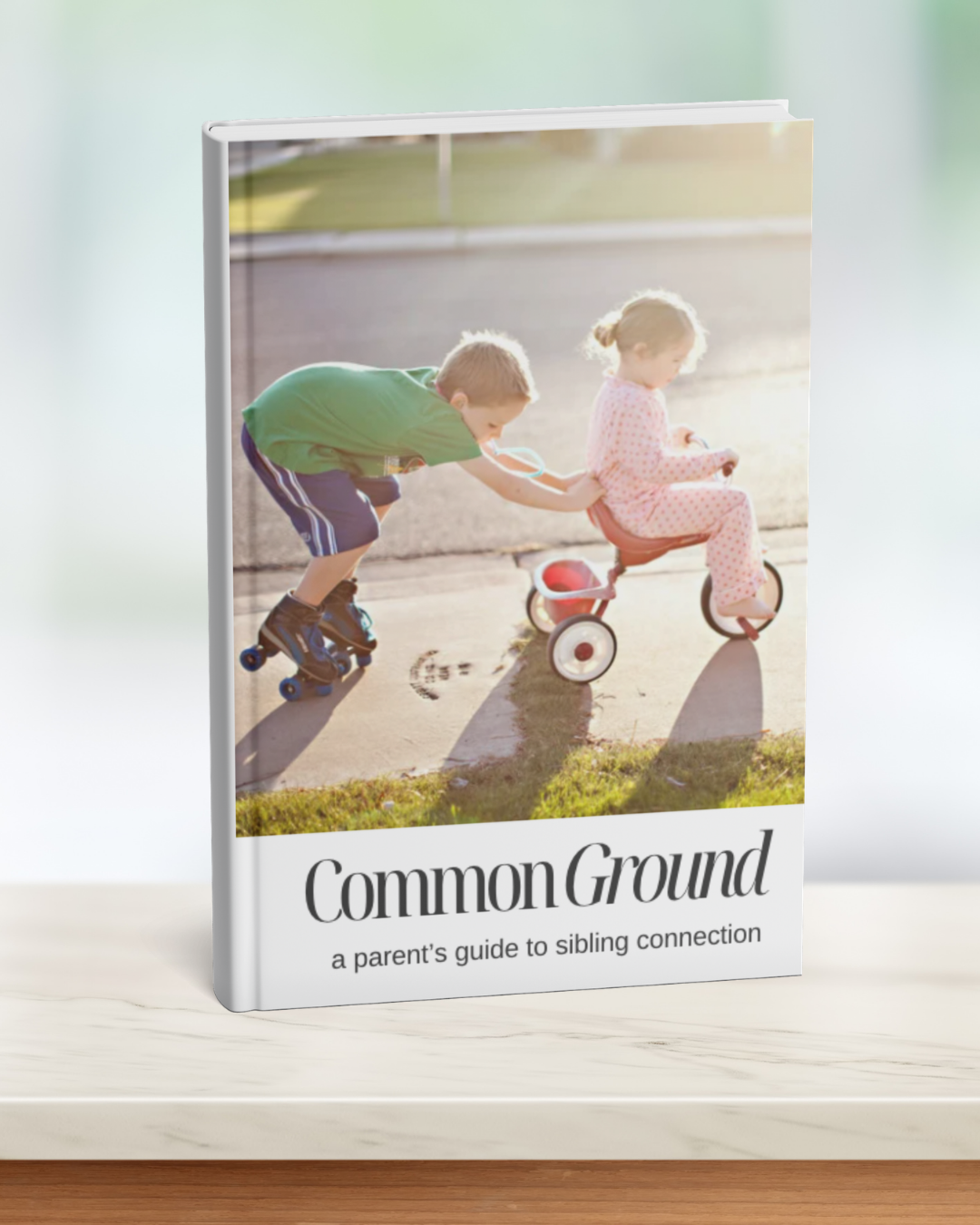 Common Ground - A Parent's Guide to Sibling Connection